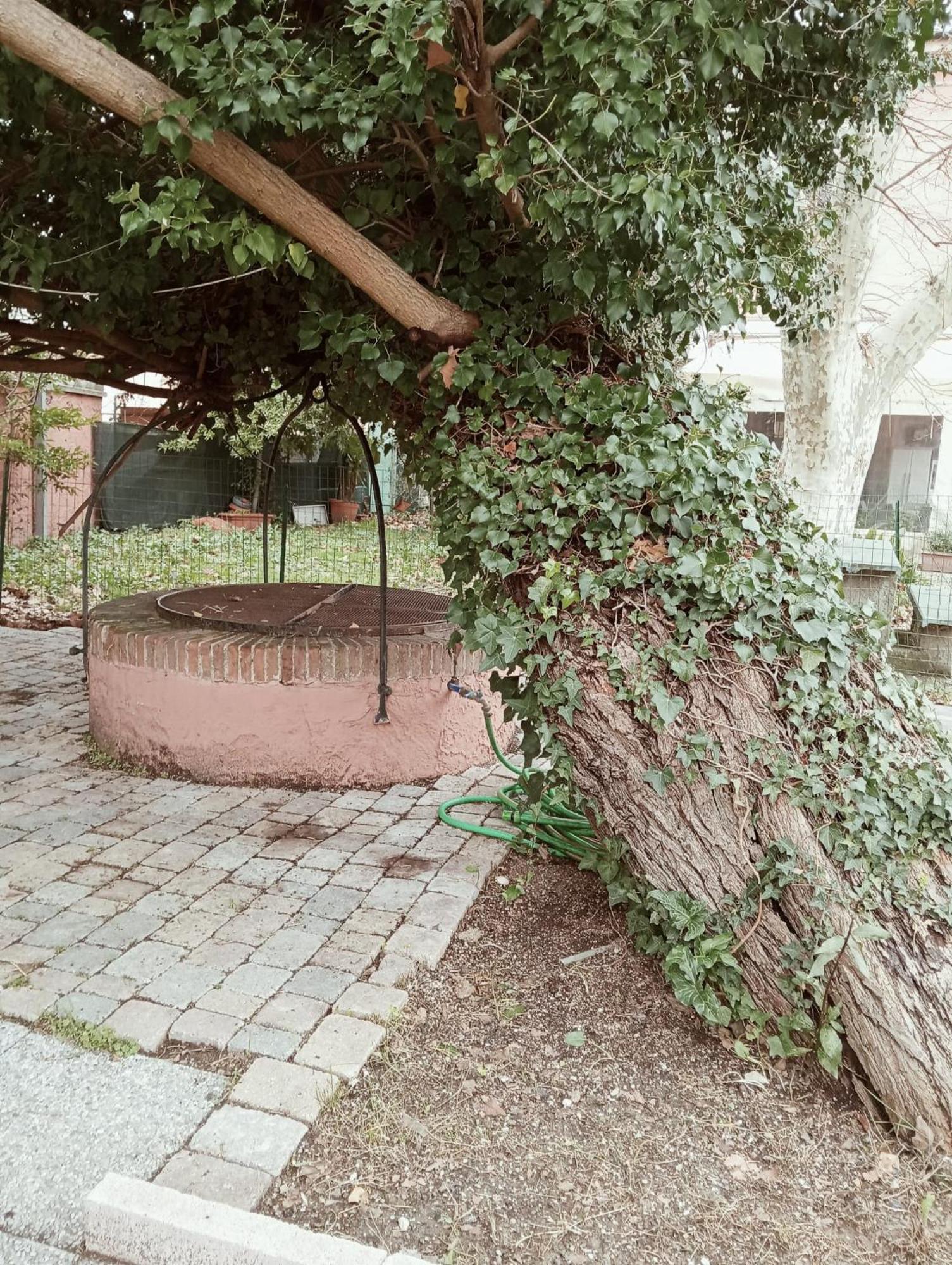 Dimora Del Conte Couette-café *